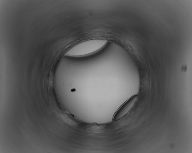 X0000096640081200802051007