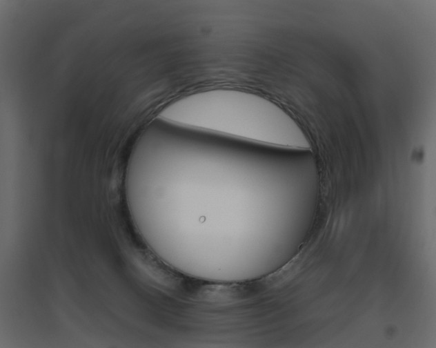 X0000096640082200802051007