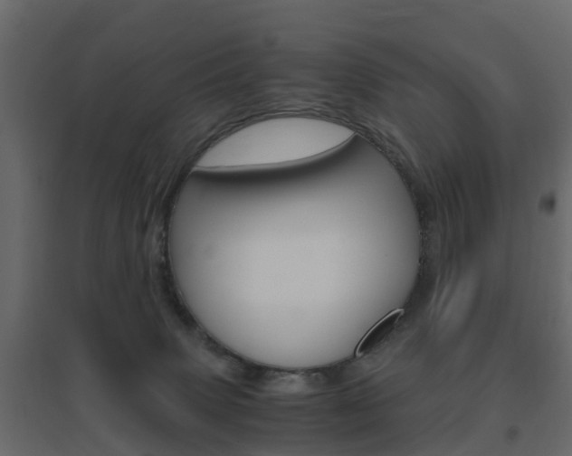 X0000096640083200802051007
