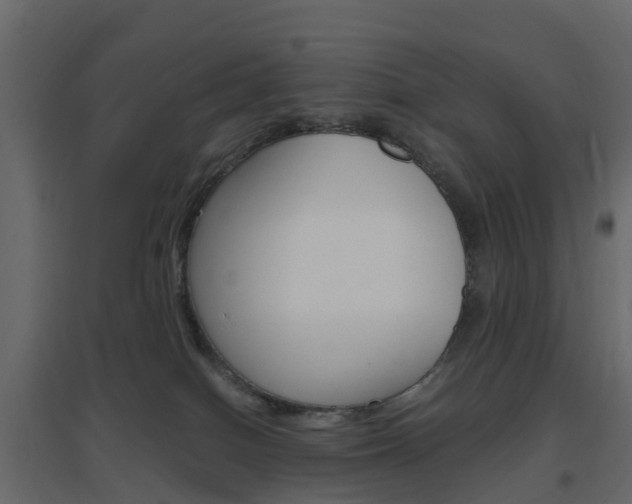 X0000096640086200802051007