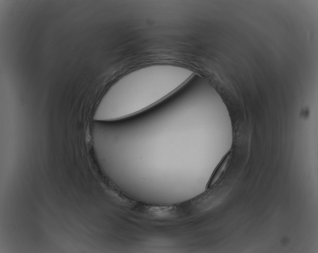 X0000096640089200802051007