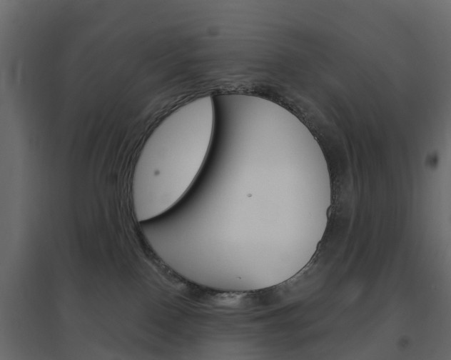 X0000096640090200802051007