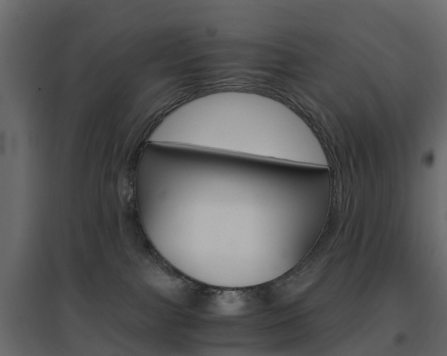 X0000096640091200802051007