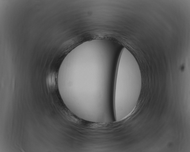 X0000096640094200802051007