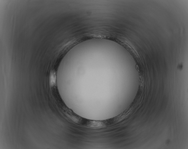 X0000096640095200802051007