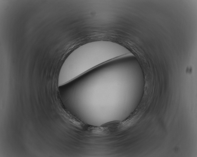 X0000096640096200802051007
