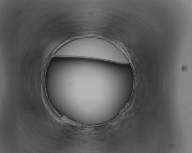 X0000096640097200802051006