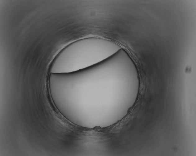 X0000096640098200802051006