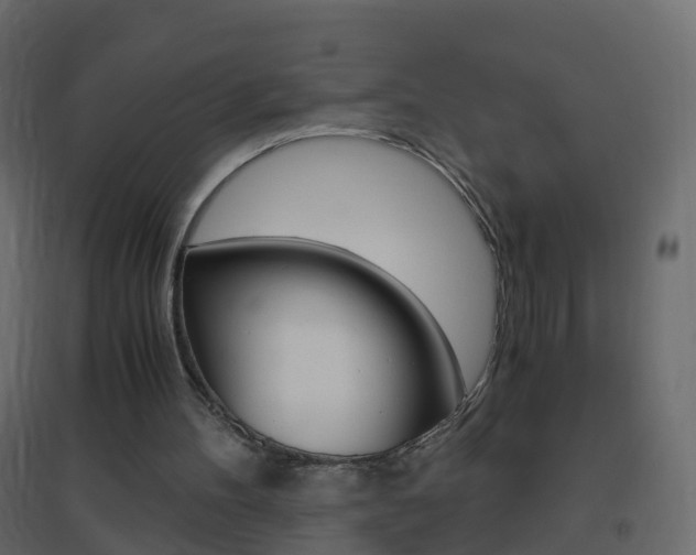 X0000096640100200802051006