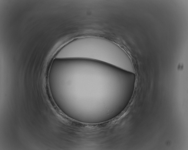 X0000096640101200802051006