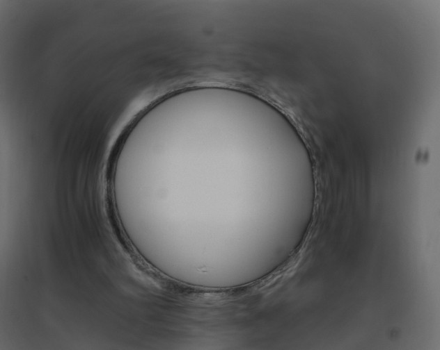 X0000096640102200802051006