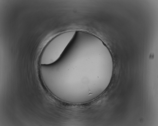 X0000096640103200802051006