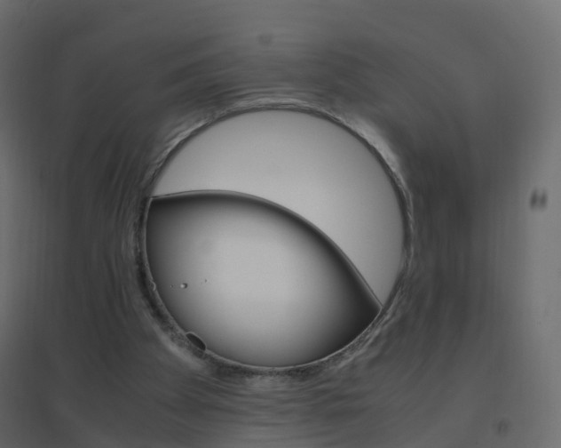 X0000096640105200802051006