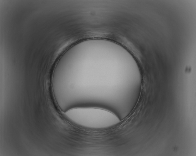 X0000096640107200802051006