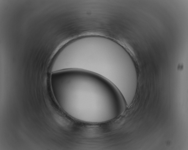 X0000096640108200802051006