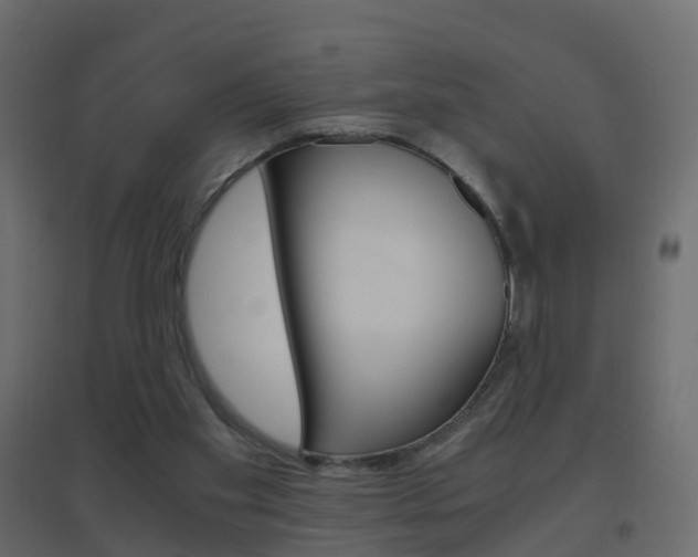X0000096640109200802051006