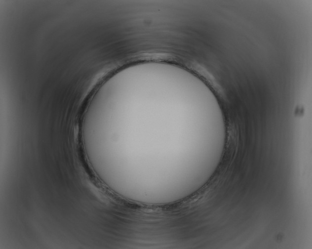 X0000096640110200802051006