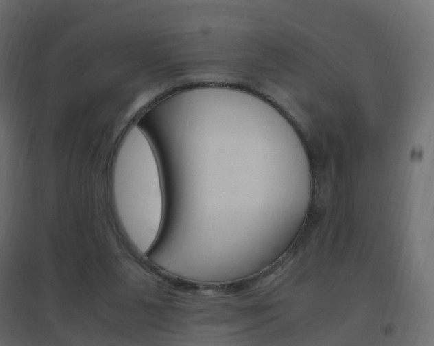 X0000096640111200802051006