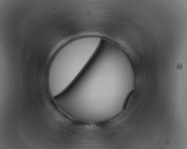 X0000096640112200802051006