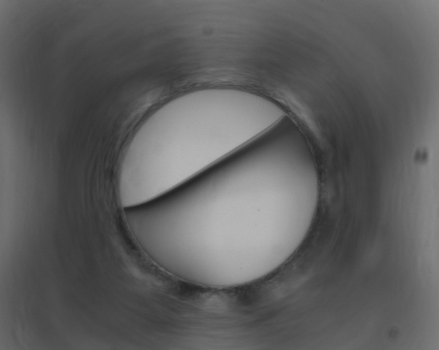 X0000096640115200802051006