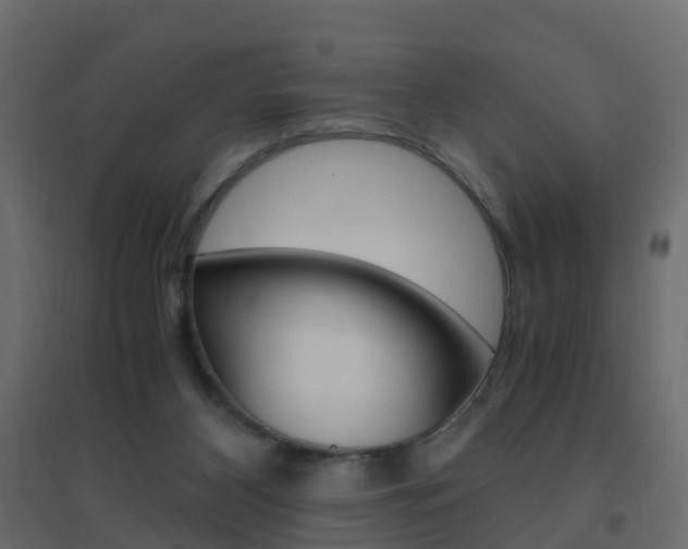 X0000096640116200802051006