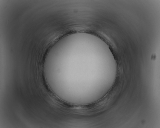 X0000096640117200802051006