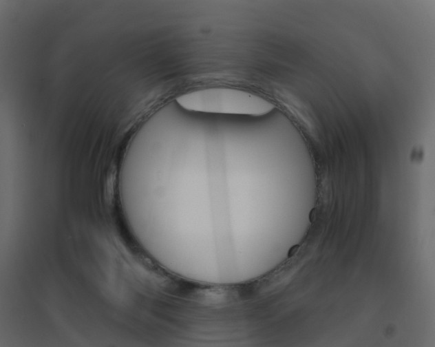 X0000096640118200802051006