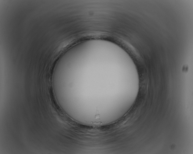 X0000096640119200802051006