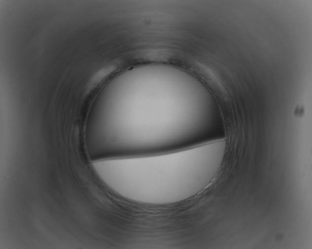 X0000096640120200802051006