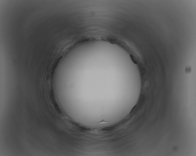 X0000096640121200802051006