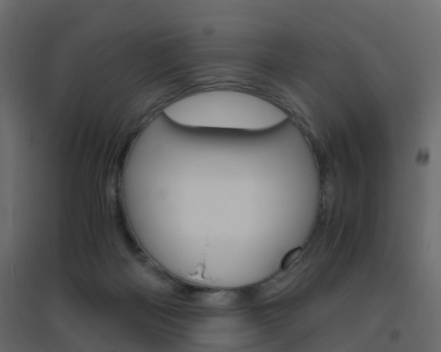 X0000096640122200802051006