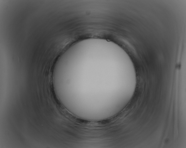 X0000096640123200802051006