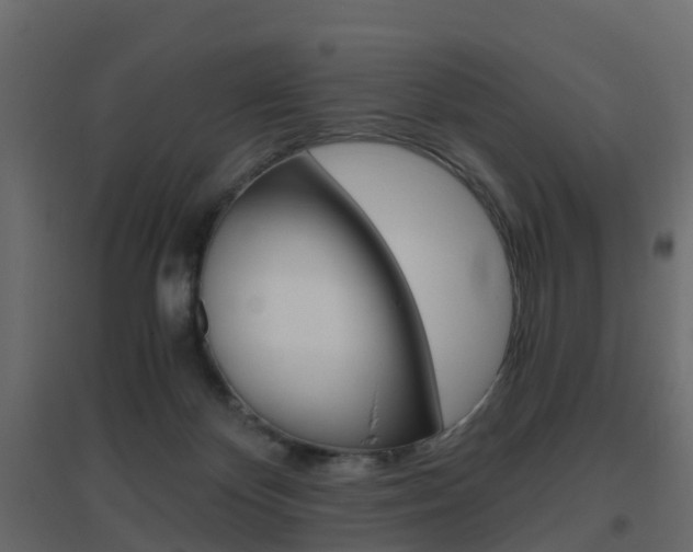 X0000096640124200802051006