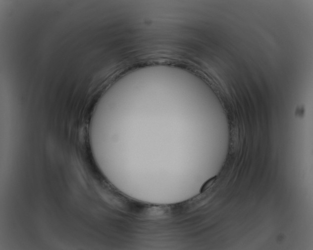X0000096640126200802051006