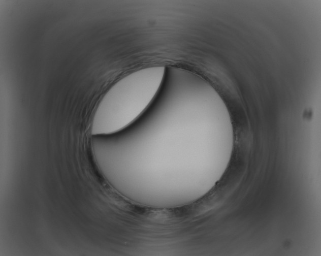 X0000096640127200802051006