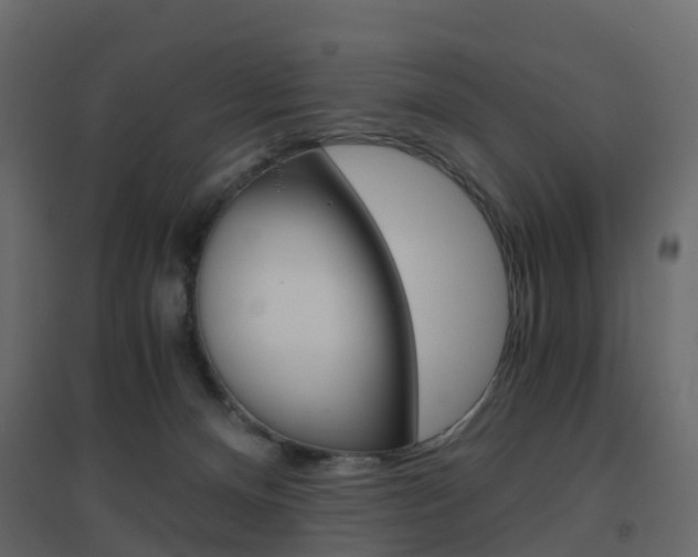 X0000096640128200802051006