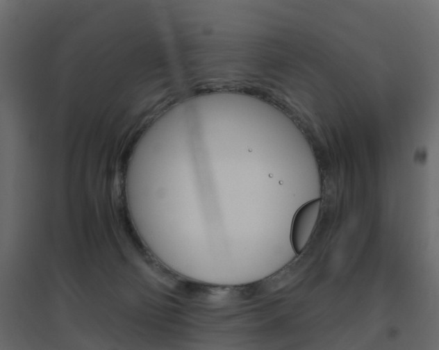 X0000096640130200802051006