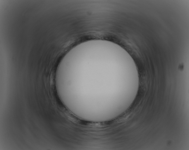 X0000096640131200802051006