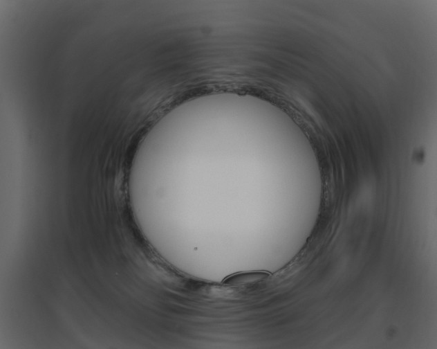 X0000096640134200802051006