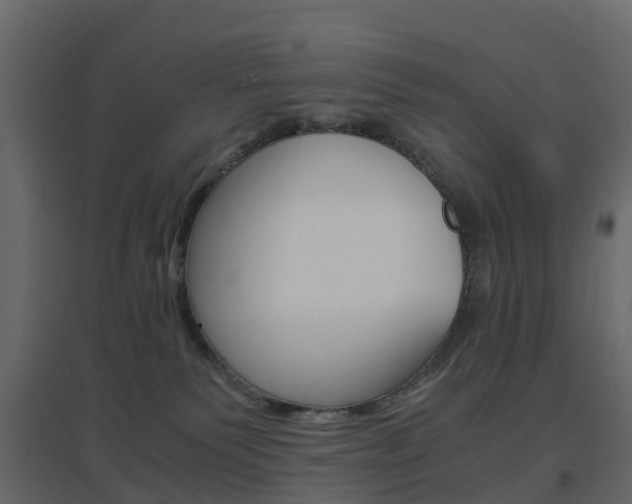 X0000096640135200802051006