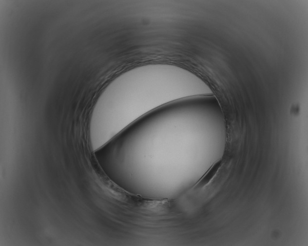 X0000096640136200802051006