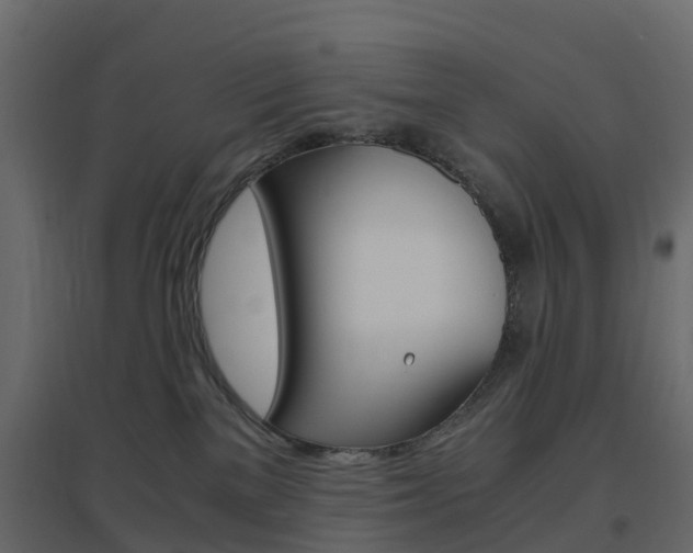 X0000096640137200802051006