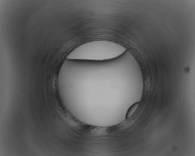 X0000096640138200802051006