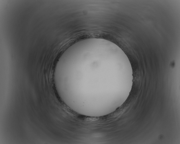 X0000096640139200802051006