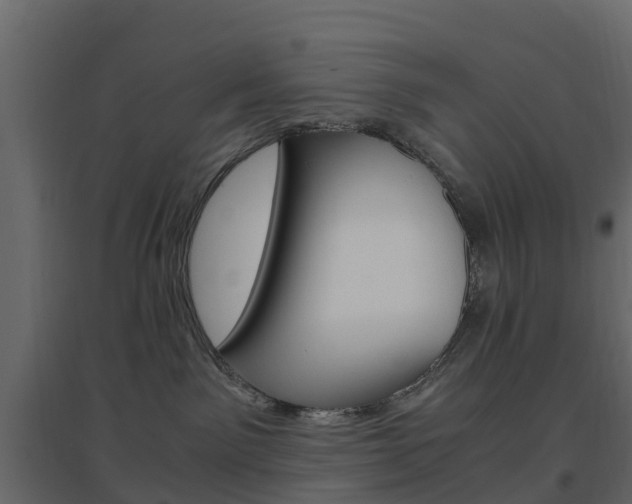 X0000096640141200802051006
