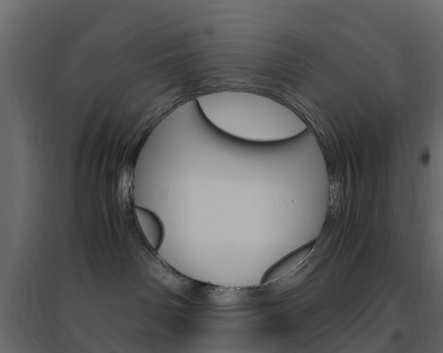 X0000096640142200802051006