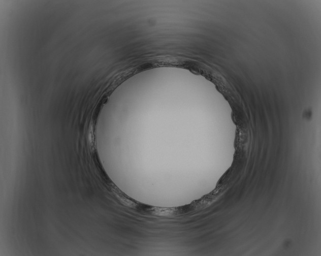 X0000096640143200802051006
