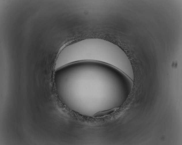 X0000096640144200802051006
