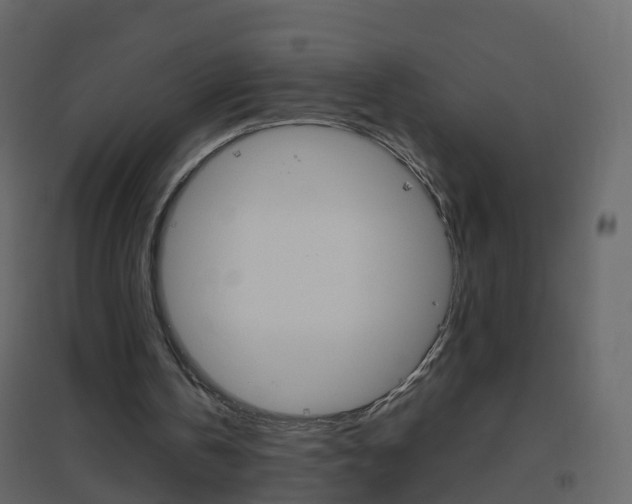 X0000096640146200802051005