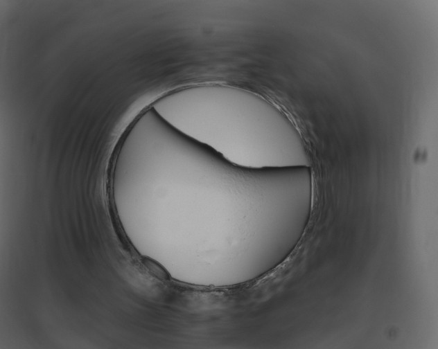 X0000096640147200802051005